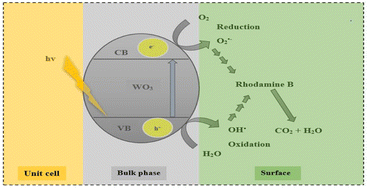 Graphical abstract: Visible-light-activated photocatalytic degradation of rhodamine B using WO3 nanoparticles
