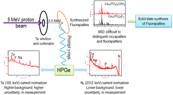 Graphical abstract: Optimization of external (in air) particle induced gamma-ray emission (PIGE) methodology for rapid, non-destructive, and simultaneous quantification of fluorine, sodium, and phosphorus in nuclear waste immobilization matrices