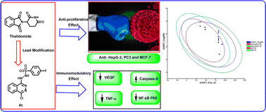 Graphical abstract: Design, synthesis, and biological evaluation of novel bioactive thalidomide analogs as anticancer immunomodulatory agents