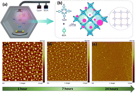 Graphical abstract: Photoresponse of CVD grown crystalline quantum dot-embedded covalent organic framework thin film