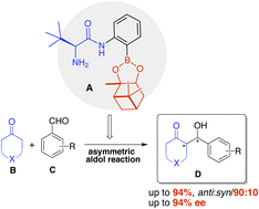 Graphical abstract: New boro amino amide organocatalysts for asymmetric cross aldol reaction of ketones with carbonyl compounds