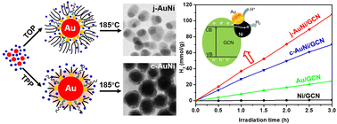 Graphical abstract: Ligand-assisted morphology regulation of AuNi bimetallic nanocrystals for efficient hydrogen evolution