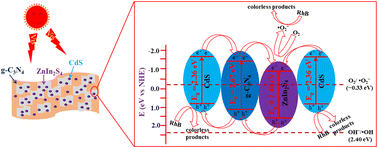 Graphical abstract: In situ fabrication of a novel CdS/ZnIn2S4/g-C3N4 ternary heterojunction with enhanced visible-light photocatalytic performance