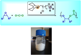 Graphical abstract: Bifunctional organoboron–phosphonium catalysts for coupling reactions of CO2 and epoxides