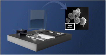 Graphical abstract: Controlling the crystal structure of succinic acid via microfluidic spray-drying