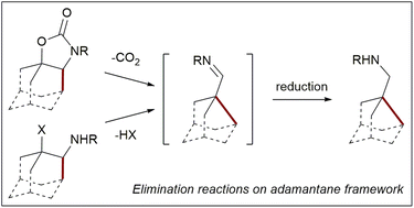 Graphical abstract: Annulated carbamates are precursors for the ring contraction of the adamantane framework