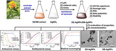 Graphical abstract: Non-medicinal parts of safflower (bud and stem) mediated sustainable green synthesis of silver nanoparticles under ultrasonication: optimization, characterization, antioxidant, antibacterial and anticancer potential