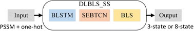 Graphical abstract: DLBLS_SS: protein secondary structure prediction using deep learning and broad learning system