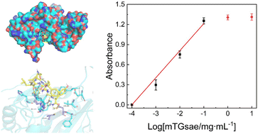 Graphical abstract: Design of highly active substrates using molecular docking for microbial transglutaminase detection