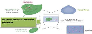 Graphical abstract: Tuning water chemistry for the recovery of greener products: pragmatic and sustainable approaches