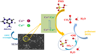 Graphical abstract: Synthesis of bimetal MOFs for rapid removal of doxorubicin in water by advanced oxidation method