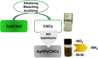 Graphical abstract: Cellulose nanocrystals isolated from corn leaf: straightforward immobilization of silver nanoparticles as a reduction catalyst