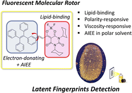 Graphical abstract: A fluorescent molecular rotor for the in situ imaging of latent fingerprints