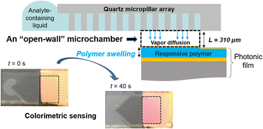 Graphical abstract: Reversible colorimetric sensing of volatile analytes by wicking in close proximity to a photonic film