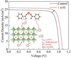 Graphical abstract: Simultaneous passivation on both A and X sites of halogen perovskite with magnesium benzoate