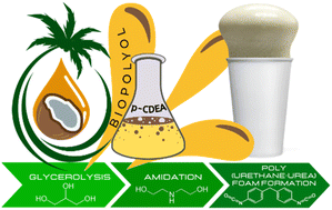 Graphical abstract: A novel reaction mechanism for the synthesis of coconut oil-derived biopolyol for rigid poly(urethane-urea) hybrid foam application