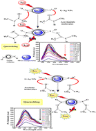 Graphical abstract: Fluorescent garlic-capped Ag nanoparticles as dual sensors for the detection of acetone and acrylamide