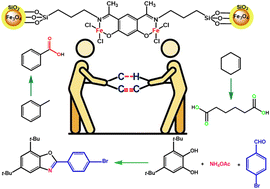 Graphical abstract: New iron(iii) complex of bis-bidentate-anchored diacyl resorcinol on a Fe3O4 nanomagnet: C–H bond oxygenation, oxidative cleavage of alkenes and benzoxazole synthesis