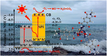 Graphical abstract: Anchoring Co3O4 nanoparticles on conjugated polyimide ultrathin nanosheets: construction of a Z-scheme nano-heterostructure for enhanced photocatalytic performance