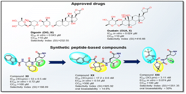 Graphical abstract: Recent updates on the biological efficacy of approved drugs and potent synthetic compounds against SARS-CoV-2