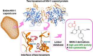 Graphical abstract: Low-molecular-weight anti-HIV-1 agents targeting HIV-1 capsid proteins