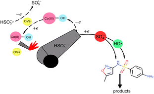 Graphical abstract: Ultrafast degradation of SMX and TC by CoSiOx activated peroxymonosulfate: efficiency and mechanism