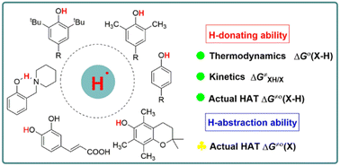 Graphical abstract: Quantitative evaluation of the actual hydrogen atom donating activities of O–H bonds in phenols: structure–activity relationship