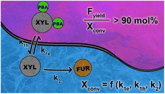 Graphical abstract: Kinetic model for the dehydration of xylose to furfural from a boronate diester precursor