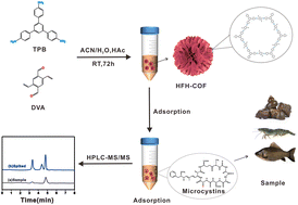 Graphical abstract: Room temperature synthesis of flower-like hollow covalent organic framework for efficient enrichment of microcystins