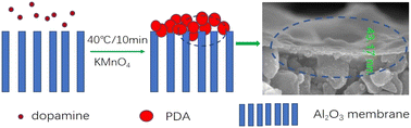 Graphical abstract: Fast preparation of a polydopamine/ceramic composite nanofiltration membrane with excellent permselectivity