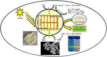 Graphical abstract: Enhanced photocatalytic activity in ZnO nanoparticles developed using novel Lepidagathis ananthapuramensis leaf extract