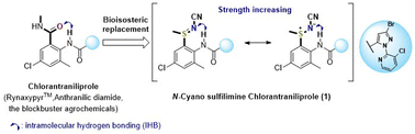 Graphical abstract: N-Cyano sulfilimine functional group as a nonclassical amide bond bioisostere in the design of a potent analogue to anthranilic diamide insecticide