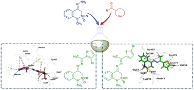 Graphical abstract: 2,1-Benzothiazine – (quinolin/thiophen)yl hydrazone frameworks as new monoamine oxidase inhibitory agents; synthesis, in vitro and in silico investigation