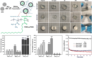 Graphical abstract: Preparation and properties of a photocrosslinked MCln-doped PDMA-g-PSMA hydrogel