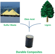 Graphical abstract: Durable composites by vulcanization of oleyl-esterified lignin