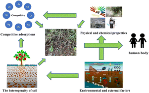 Graphical abstract: A review on adsorption characteristics and influencing mechanism of heavy metals in farmland soil
