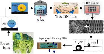 Graphical abstract: Fabrication of bio-inspired metal-based superhydrophilic and underwater superoleophobic porous materials by hydrothermal treatment and magnetron sputtering