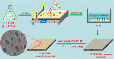 Graphical abstract: Fabrication of photo-Fenton self-cleaning PVDF composite membrane for highly efficient oil-in-water emulsion separation