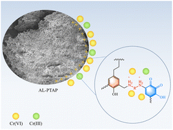 Graphical abstract: High capacity and fast removal of Cr(vi) by alkali lignin-based poly(tetraethylene pentamine-pyrogallol) sorbent