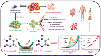 Graphical abstract: In situ synthesis of polythiophene encapsulated 2D hexagonal boron nitride nanocomposite based electrochemical transducer for detection of 5-fluorouracil with high selectivity