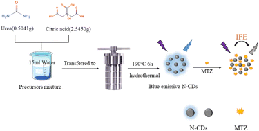 Graphical abstract: Novel N-doped carbon dots derived from citric acid and urea: fluorescent sensing for determination of metronidazole and cytotoxicity studies