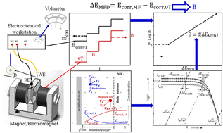 Graphical abstract: An electrochemical method for measuring magnetic flux density