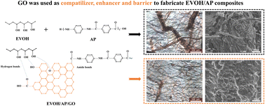 Graphical abstract: Graphene oxide as a multi-functional additive for compatilizer, enhancer, and barrier in ethylene vinyl alcohol copolymer/aramid pulp composites