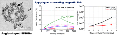 Graphical abstract: In vitro magnetic hyperthermia properties of angle-shaped superparamagnetic iron oxide nanoparticles synthesized by a bromide-assisted polyol method