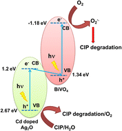 Graphical abstract: Cd-doped Ag2O/BiVO4 visible light Z-scheme photocatalyst for efficient ciprofloxacin degradation