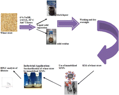 Graphical abstract: Enzymatic hydrolysis of low temperature alkali pretreated wheat straw using immobilized β-xylanase nanoparticles