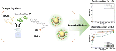 Graphical abstract: Hyaluronic acid-coated gold nanoparticles as a controlled drug delivery system for poorly water-soluble drugs
