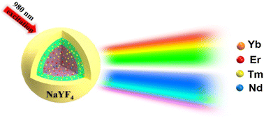 Graphical abstract: Multi-color luminescence and anticounterfeiting application of upconversion nanoparticle
