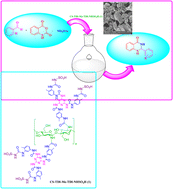 Graphical abstract: Sulfamic acid grafted to cross-linked chitosan by dendritic units: a bio-based, highly efficient and heterogeneous organocatalyst for green synthesis of 2,3-dihydroquinazoline derivatives