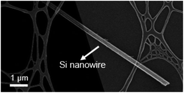 Graphical abstract: A critical review of silicon nanowire electrodes and their energy storage capacities in Li-ion cells